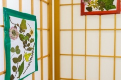 Telc33